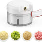 Mini Vegetable hand push Chopper